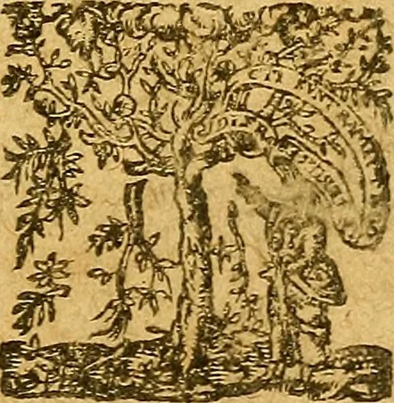 An illustration from Edict Dv Roy portant creation en chacune Election de deux Offices de Conseillers & Intendans particuliers des deniers communs & d'octroy, des Villes & Communautez de ce Royaume, ... : Verifié en la Chambredes Comptes le dernier de Decembre 1628. & en la Cour des Aydes le 3.Feurier 1629, 1630, leaf 6