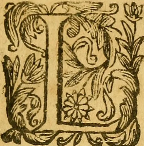 An illustration from Edict Dv Roy portant creation en chacune Election de deux Offices de Conseillers & Intendans particuliers des deniers communs & d'octroy, des Villes & Communautez de ce Royaume, ... : Verifié en la Chambredes Comptes le dernier de Decembre 1628. & en la Cour des Aydes le 3.Feurier 1629, 1630, leaf 8