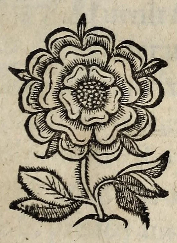 An illustration from Edict Dv Roy Svr La Pacification Des troubles de ce Royaume. Publié à Paris en Parlement, l'vnziesme iour d'Aoust,, 1570, leaf 1