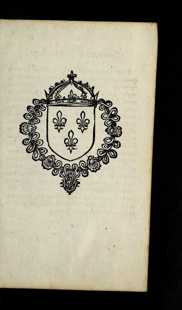 An illustration from Edict dv Roy svr la pacification des troubles de ce royaume., 1573, leaf 31