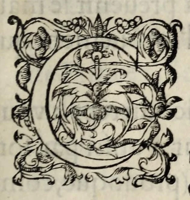 An illustration from Edict et declaration faicte par le Roy Charles IX. de ce nom sur la pacification des troubles de ce royaume: le XIX iour de Mars, mil cinq cens soixante deux., 1563, leaf 3