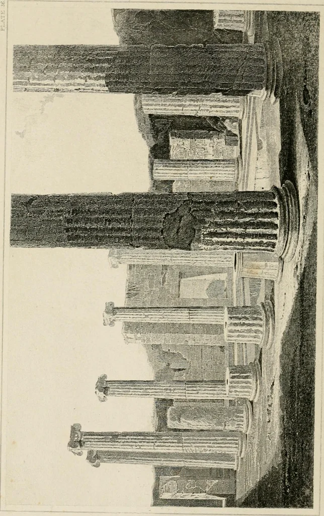 An illustration from Pompeiana : the topography, edifices, and ornaments of Pompeii, 1875, leaf 198