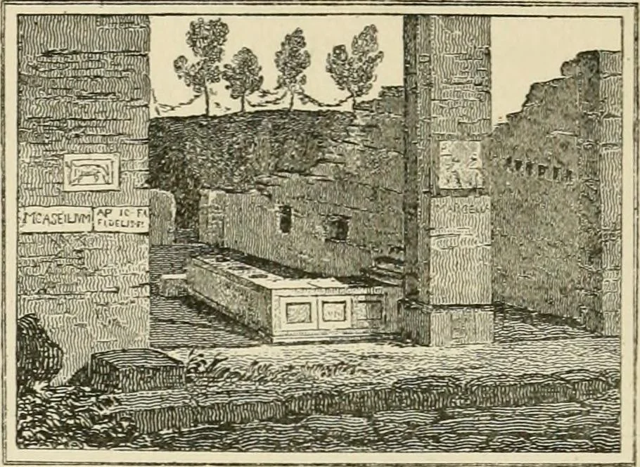 An illustration from Pompeiana : the topography, edifices, and ornaments of Pompeii, 1875, leaf 220