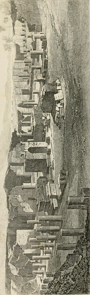 An illustration from Pompeiana : the topography, edifices, and ornaments of Pompeii, 1875, leaf 235