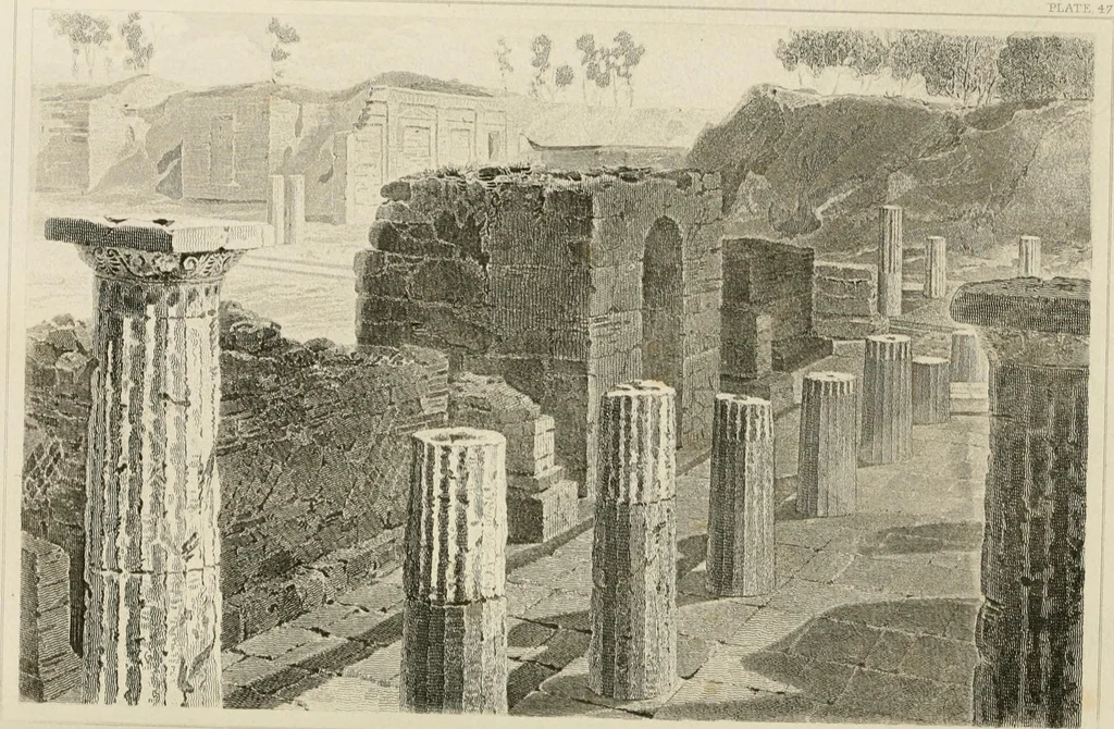 An illustration from Pompeiana : the topography, edifices, and ornaments of Pompeii, 1875, leaf 242