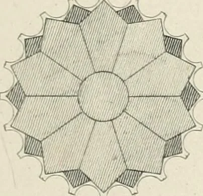 An illustration from Pompeiana : the topography, edifices, and ornaments of Pompeii, 1875, leaf 247