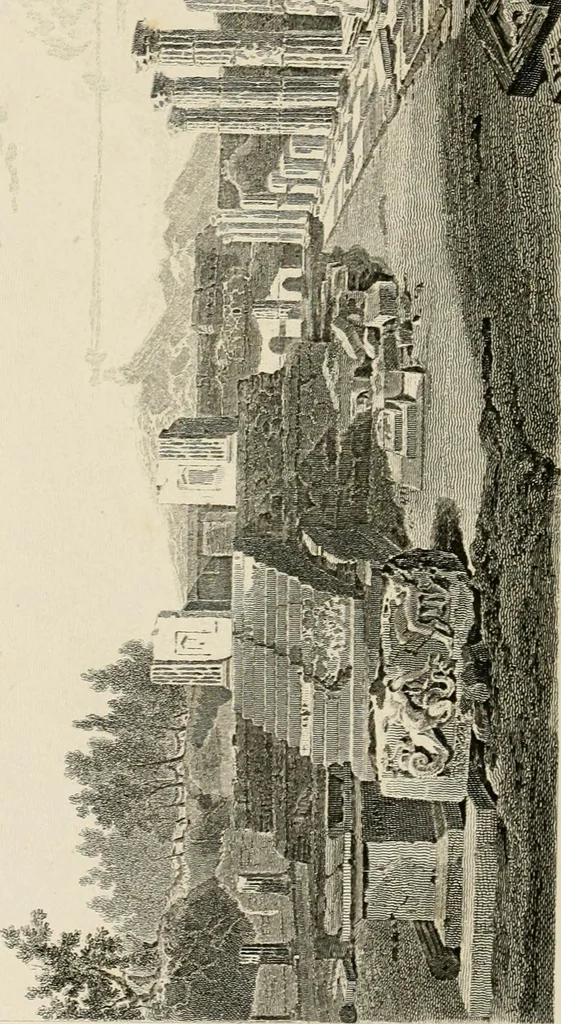 An illustration from Pompeiana : the topography, edifices, and ornaments of Pompeii, 1875, leaf 264