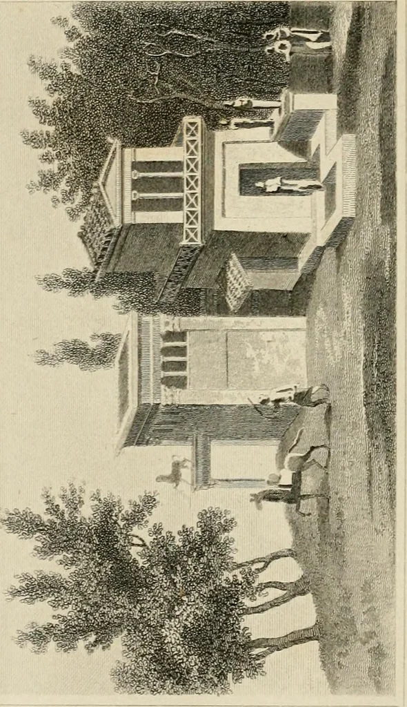 An illustration from Pompeiana : the topography, edifices, and ornaments of Pompeii, 1875, leaf 276