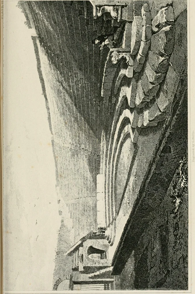 An illustration from Pompeiana : the topography, edifices, and ornaments of Pompeii, 1875, leaf 309
