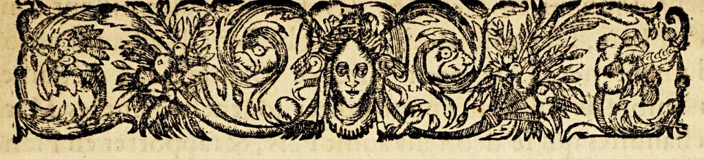 An illustration from Edit du roy, pour l'establissement de la Compagnie des Indes occidentalles [sic]. : Verifié en Parlement le vnziéme [sic] iour de iuillet 1664. Et en la Chambre des comptes le dernier iuillet 1664, 1664, leaf 7