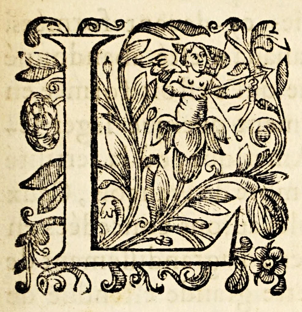 An illustration from Edit du roy, pour l'establissement de la Compagnie des Indes occidentalles [sic]. : Verifié en Parlement le vnziéme [sic] iour de iuillet 1664. Et en la Chambre des comptes le dernier iuillet 1664, 1664, leaf 7