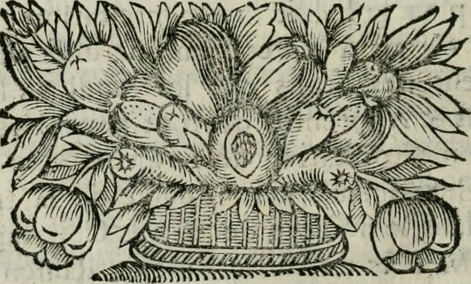 An illustration from Edits et reglemens pour la Communaute' des cent cinquante marchands privilegiez de cidre & poiré, en gros & en détail, de cette ville, 1694, leaf 51