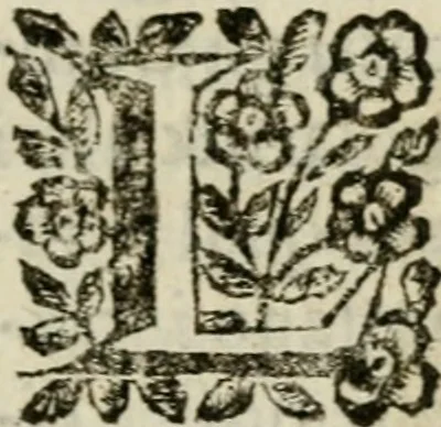 An illustration from Editto del re' christianissimo Luigi XIV contro gli duelli e rincontri, 1672, leaf 10