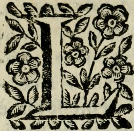 An illustration from Editto del re' christianissimo Luigi XIV contro gli duelli e rincontri, 1672, leaf 51
