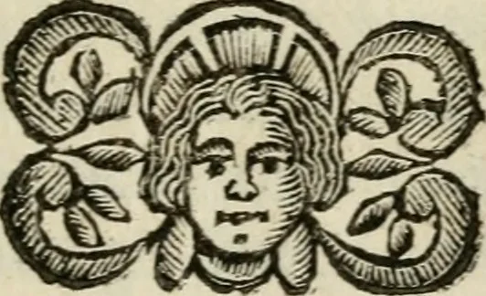 An illustration from Editto del re' christianissimo Luigi XIV contro gli duelli e rincontri, 1672, leaf 62