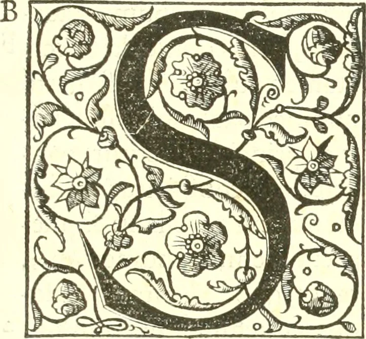 An illustration from Edoardi VVottoni Oxoniensis De differentiis animalium libri decem ..., 1552, leaf 424