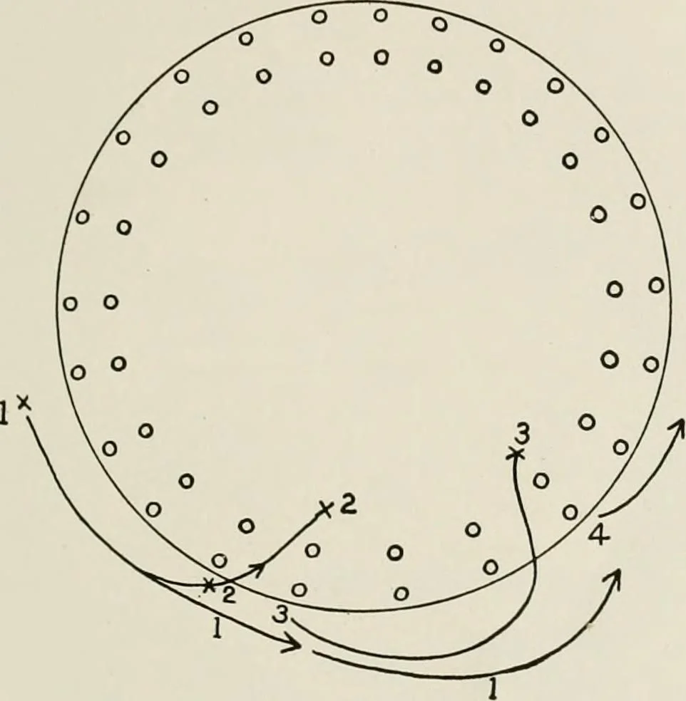 An illustration from Physical education complete for schools and playgrounds, 1917, leaf 144