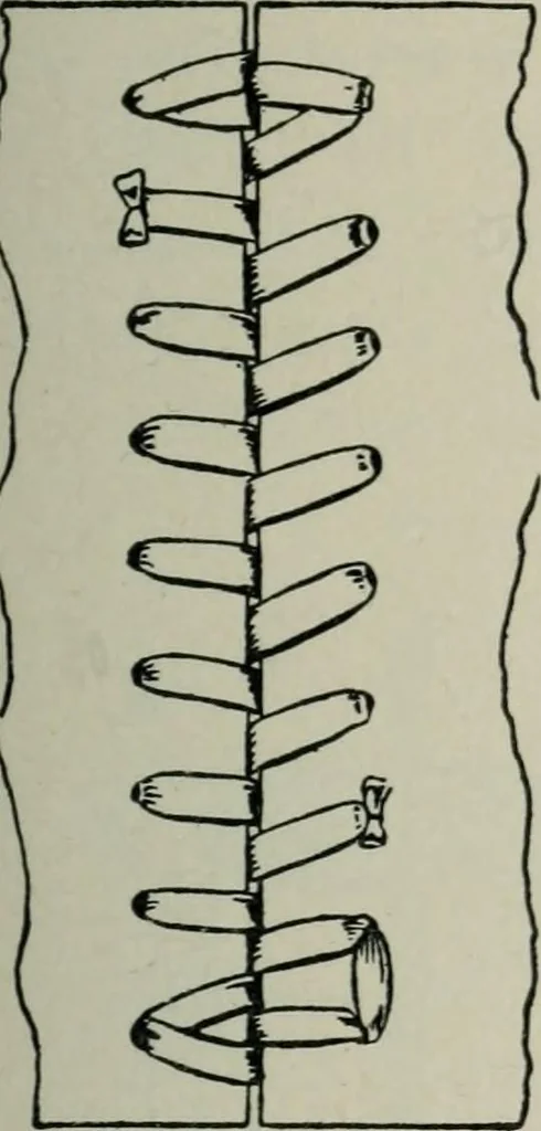An illustration from Educational woodworking for home and school, 1908, leaf 136
