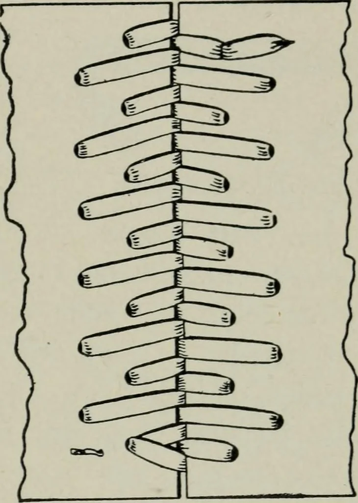An illustration from Educational woodworking for home and school, 1908, leaf 136
