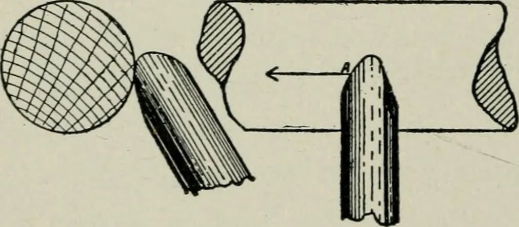 An illustration from Educational woodworking for home and school, 1908, leaf 237