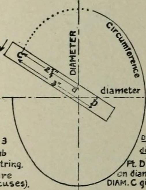 An illustration from Educational woodworking for home and school, 1908, leaf 309