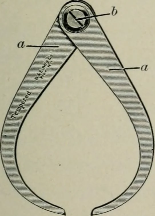 An illustration from Educational woodworking for home and school, 1908, leaf 56