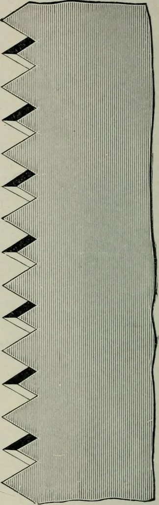 An illustration from Educational woodworking for home and school, 1908, leaf 79