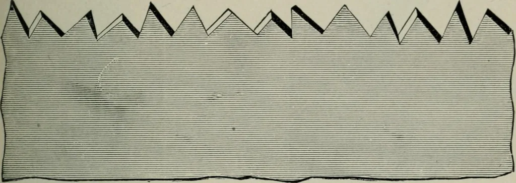 An illustration from Educational woodworking for home and school, 1908, leaf 84