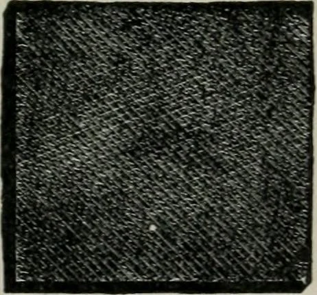 An illustration from Educational woodworking for home and school, 1908, leaf 90