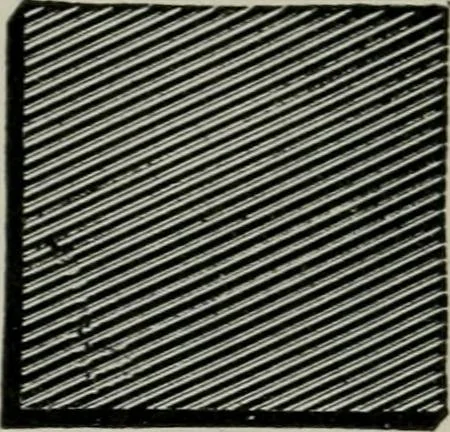 An illustration from Educational woodworking for home and school, 1908, leaf 90