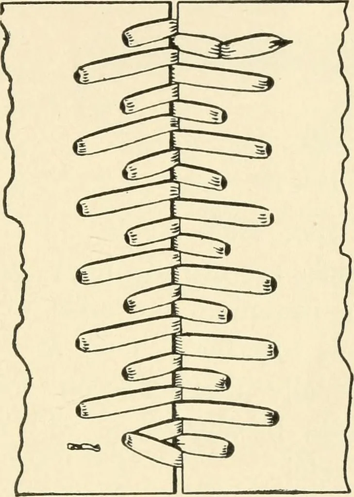 An illustration from Educational woodworking for home and school, 1908, leaf 138