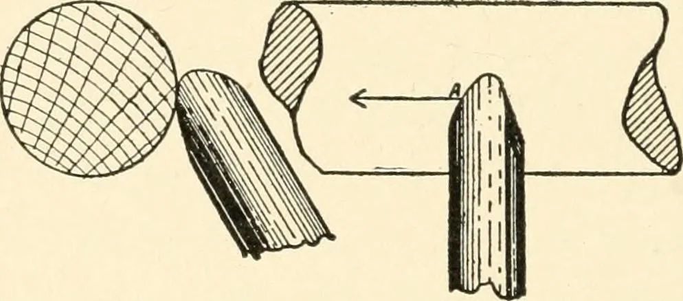 An illustration from Educational woodworking for home and school, 1908, leaf 239
