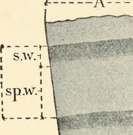 An illustration from Educational woodworking for home and school, 1908, leaf 255