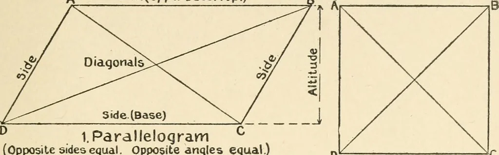An illustration from Educational woodworking for home and school, 1908, leaf 308