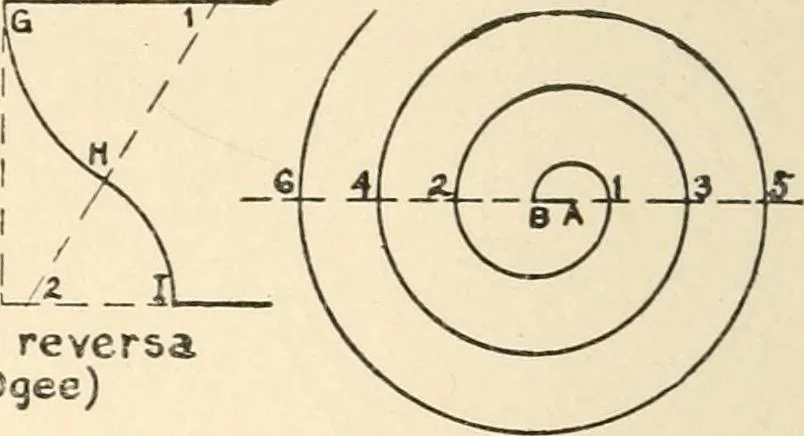An illustration from Educational woodworking for home and school, 1908, leaf 311
