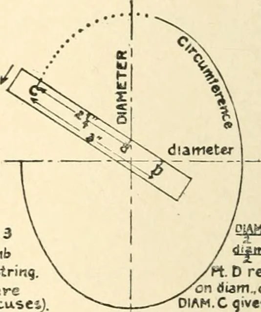 An illustration from Educational woodworking for home and school, 1908, leaf 311
