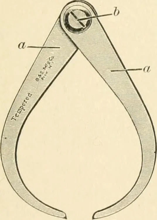 An illustration from Educational woodworking for home and school, 1908, leaf 58