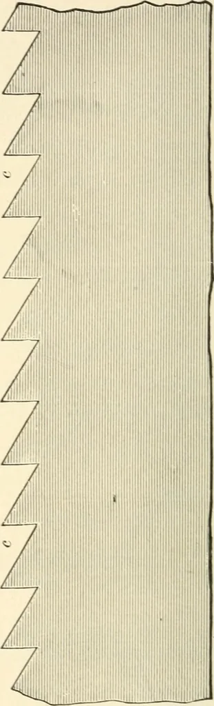An illustration from Educational woodworking for home and school, 1908, leaf 77