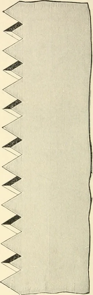 An illustration from Educational woodworking for home and school, 1908, leaf 81