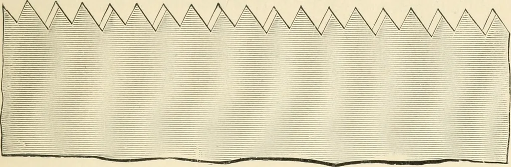 An illustration from Educational woodworking for home and school, 1908, leaf 86