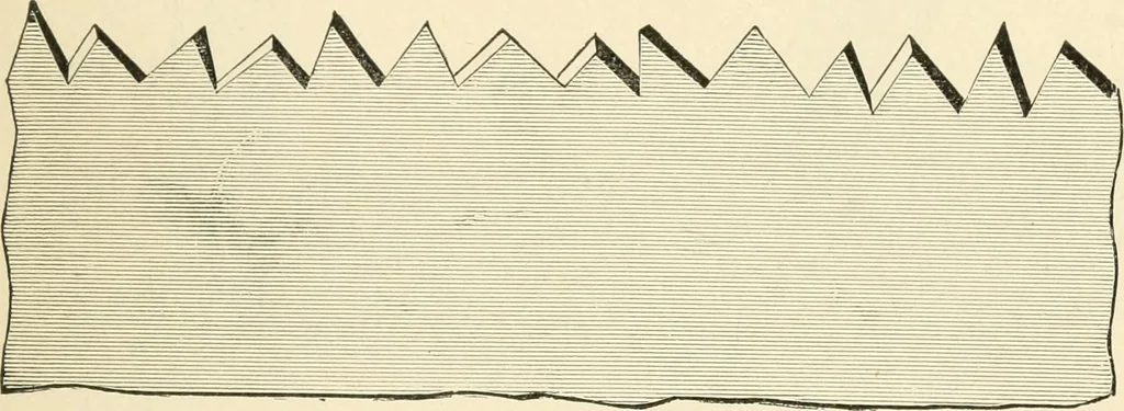 An illustration from Educational woodworking for home and school, 1908, leaf 86