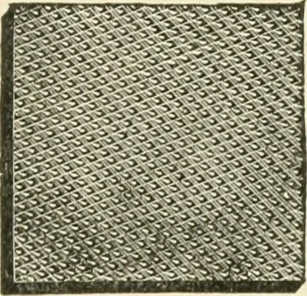 An illustration from Educational woodworking for home and school, 1908, leaf 92