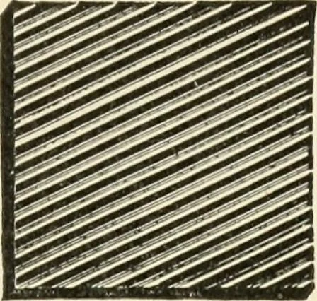 An illustration from Educational woodworking for home and school, 1908, leaf 92