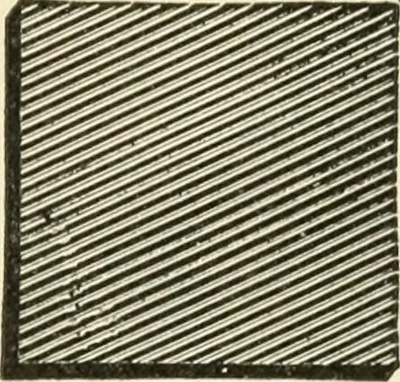 An illustration from Educational woodworking for home and school, 1908, leaf 92