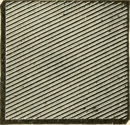 An illustration from Educational woodworking for home and school, 1908, leaf 92