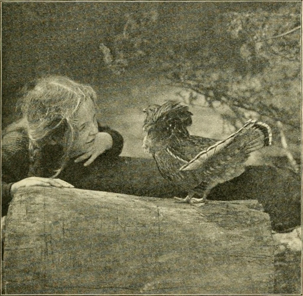 An illustration from Education by plays and games, 1907, leaf 137