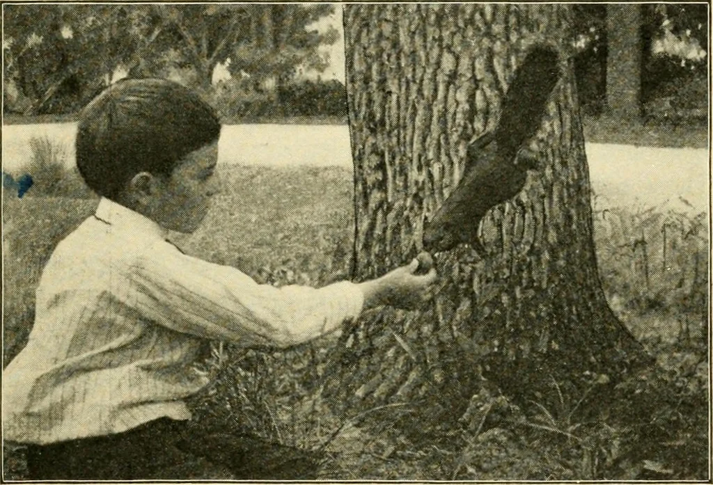 An illustration from Education by plays and games, 1907, leaf 139
