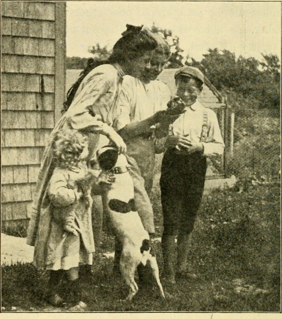 An illustration from Education by plays and games, 1907, leaf 142