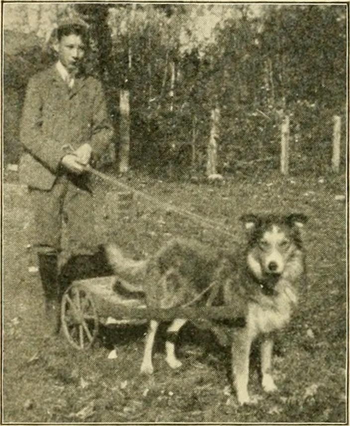 An illustration from Education by plays and games, 1907, leaf 144