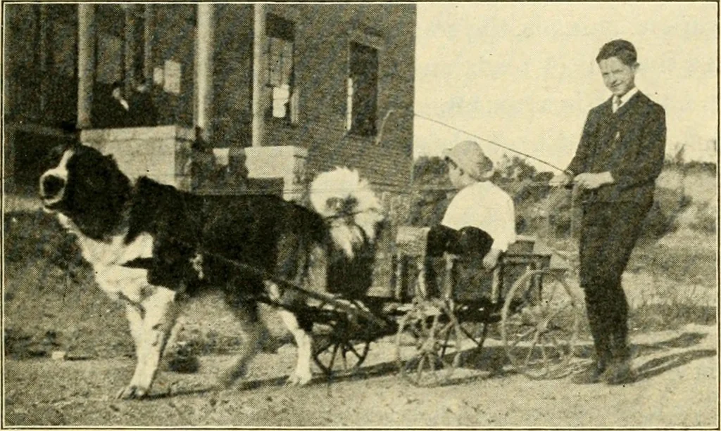 An illustration from Education by plays and games, 1907, leaf 145